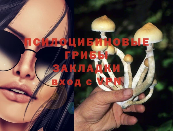 ECSTASY Алагир