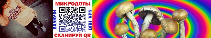 Галлюциногенные грибы MAGIC MUSHROOMS  Себеж 